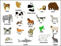 All_animals