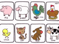 domestic_animalsjpg