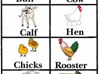 animals