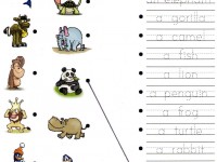 exercise_animals
