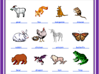 goat_frog