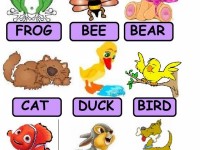 poster_animals