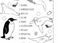 sea_animals